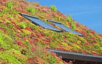 St Winnow living roof systems